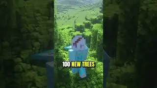 Planting 1 Tree for Every Subscriber &ndash; Day 3