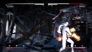 Liu Kang flame fist 67% xray combo