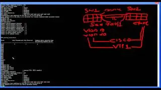 VTP Server & Client Configuration