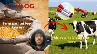 Forth vlog | cow ka blood test kyu karwaya | farm par itna wanda kyu aya | daily routine