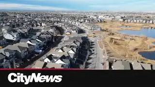 Federal housing funding for Calgary in jeopardy as the city looks at repealing blanket rezoning