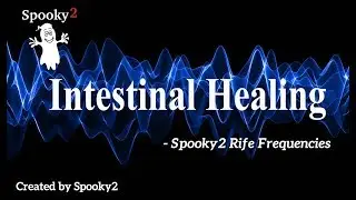 Intestinal Healing - Spooky2 Rife Frequencies