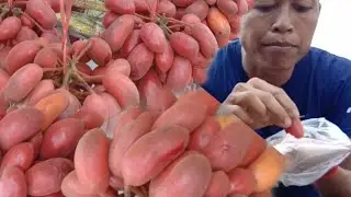 #HowtoEat Fruit on Street Angkor Wat Temple / Village Food Factory Asia