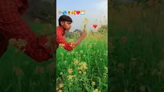 🌻👳 farming reel 🌎#khetibadi #farming #song #viralshort #dailyshorts #shorts