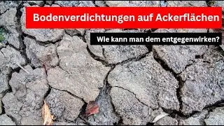 Wie kann man Bodenverdichtungen auf Ackerfl&auml;chen entgegenwirken?