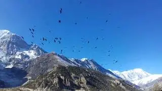 Visit Nepal 2020 // Manang Nepal // Gangapurna Glacier Lake