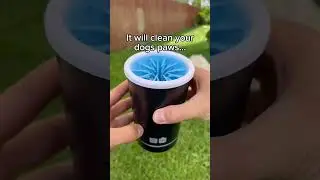 The Fastest & Easiest Way to Clean Your Dog&rsquo;s Paws! No More Mud!
