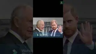 Prince Harry offering King Charles to take part in Invictus Games 2027 is 'not an olive branch'