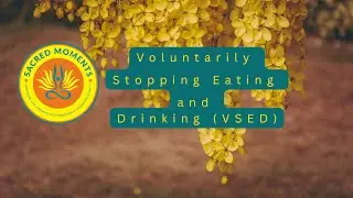 Voluntarily Stopping Eating and Drinking (VSED):  2025 Gratitude