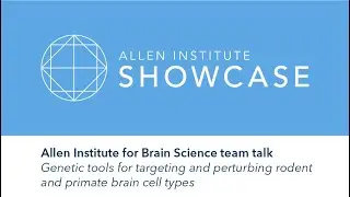 Genetic tools for targeting and perturbing brain cell types | 2019 Allen Showcase Symposium