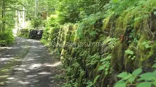 Relax in Karuizawa, a summer resort！【JAPAN】避暑地軽井沢の深い緑と涼をお愉しみ下さい！