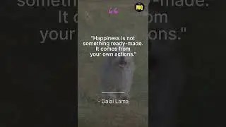Quotes about Happiness and Finding Joy in Life
