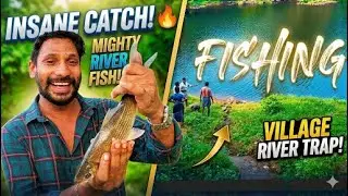 Pala മീനച്ചിലാറ്റിലെ മീൻപിടുത്തം! kerala fishing! kerala village fishing