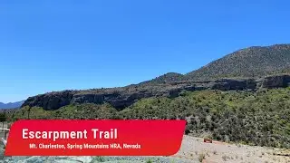 Escarpment Trail, Kyle Canyon, Hike Mt. Charleston Wilderness, Spring Mountains NRA, Nevada