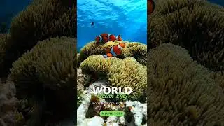 World Ocean Day 🌊🌊..#sustainme #worldoceansday #worldoceanday #ocean #oceanday #saveocean #sea