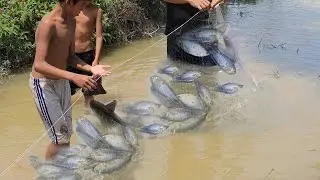 Decorative Fish Net, Amazing Net Fishing in Cambodia