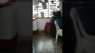 Hanamari video