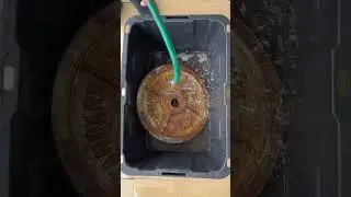 Насколько сильно меняет вес гантели очистка?