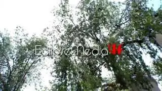 Cruz & Gees Wedding Highlights
