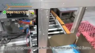 Carton case packing machine for bottom pull facial tissue  -- Soontrue Machinery
