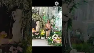 hoa hồng nữ #quangio #bolerohay #voiceeffects