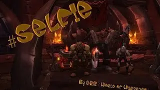 #SELFIE ( World of Warcraft )
