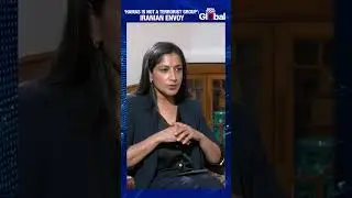 IRANIAN ENVOY TO INDIA DEFENDS HAMAS