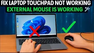 Как исправить неработающий тачпад на ноутбуке с Windows 11 | Внешняя мышь работает, но тачпад не ...