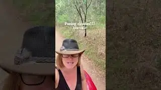 The sound of summer at Little Valley Farm Alpaca Farm Hunter Valley