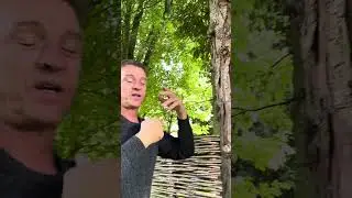 Kapstokken in je boom | Tuinmanieren #tuinieren #tuinmanieren #snoeien #bomen #takken #kapstok