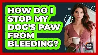 How Do I Stop My Dog's Paw From Bleeding?