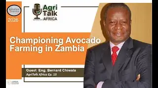 Eng. Bernard Chiwala: Championing Avocado Farming in Zambia | AgriTalk Africa Podcast Ep.15