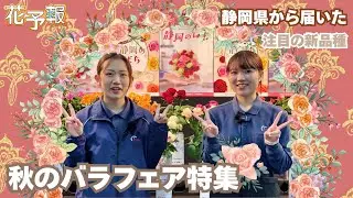 花予報2025年11/11〜11/17｜秋のバラフェア開催！静岡県産の注目品種を紹介