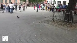Battipaglia. Piazza Amendola tra caos e degrado
