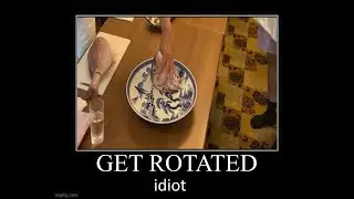 get rotated idiot offlinetv meme