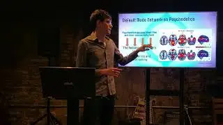 Clip about default mode network on psychedelics from 