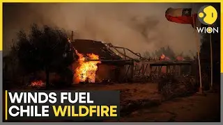Authorities Battle Raging Wildfire In Chile | World News | WION