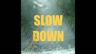 Inclement Weather Safety - Drive With Care