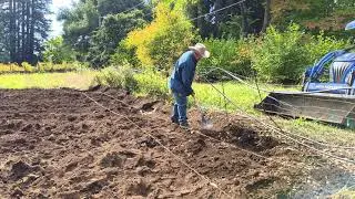 Haciendo Surcos y Poniendo Irrigacion
