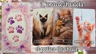 🐾 Pastels et pattes de chats un magnifique oracle de 55 cartes du Cercle Demeter 🐾