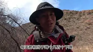 路遇流浪狗，真心相伴太行行 #徒步 #户外 #户外徒步 #登山