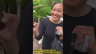 Amed Bali activity 