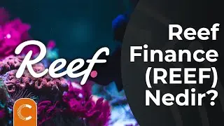 🚀 Reef Coin İnceleme | Reef Coin Geleceği ( REEF Finance Nedir? )