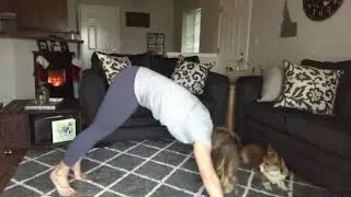 Pike Spider Lunge