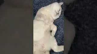 Bad sleep posture