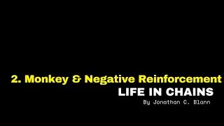 &ldquo;2. Monkeys & Negative Reinforcement,&rdquo; Life in Chains by Jonathan C. Blann