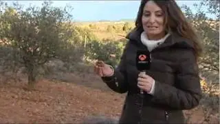 Reportaje para Antena 3 sobre trufa negra