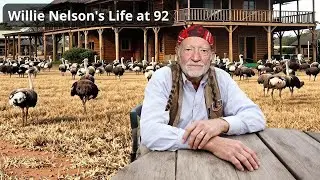 Willie Nelson’s Luck Ranch – Outlaw Country, Horses, and the Spirit of Texas Freedom