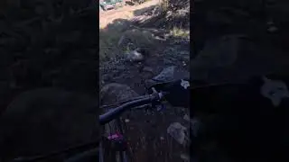 Messing Up the Rock Garden 🥴  #mtb  #bikepark #trails