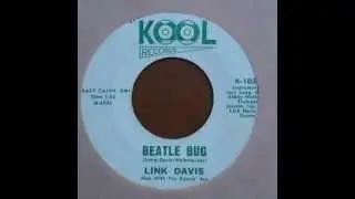 Link Davis - Beatle Bug